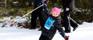 Barnens Vasalopp en familjefest