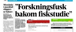 Kommenterar inte fuskutredning