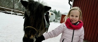 Värsta höbristen på 30 år