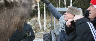 Folkkär duo fick Hedershornet