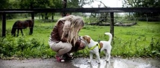 Låter inte hunden ta stryk