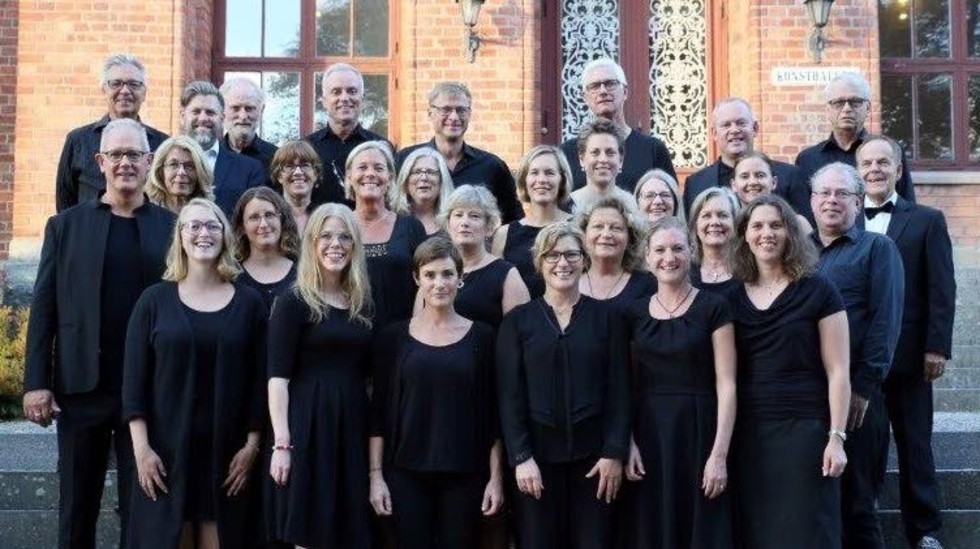 Lördag den 9 december sjunger Enköpings Kammarkör julsånger i Vårfrukyrkan. Traditionella sånger och spännande a cappella-sånger med slagsverksrytm.