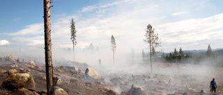 Eldningsförbud i hela Norrbotten