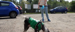 Startar upprop för fler hundparker