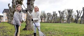 Elever plockar kvistar i herrgårdsparken