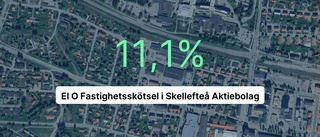 Skellefteföretaget går framåt – omsatte 19 miljoner kronor