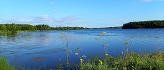 Läsarbild: Morgon vid Kalixälven