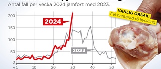 FHM: Hundratals magsjuka av rå kyckling