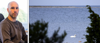 Skenholmen-skelettet kan ta över en månad att identifiera