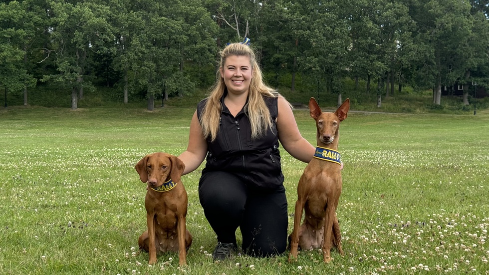 "Att få med båda hundarna till SM känns som ett kvitto på att inte bara hunden är duktig utan att även jag gör något rätt som tränare", säger Ronja Rosenquist.