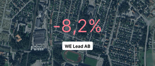 Siffrorna som visar hur det gick för WE Lead AB senaste året