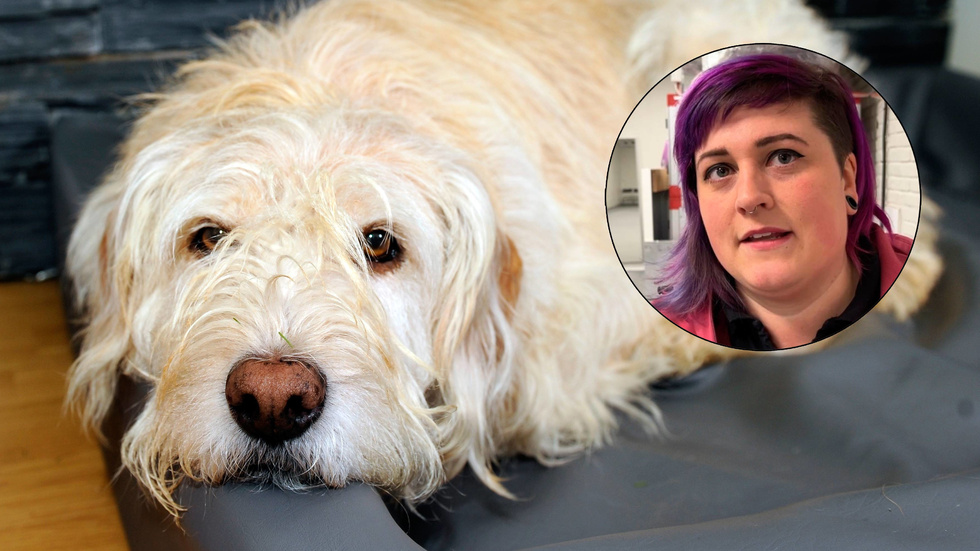 Ingela Bobits, hundpsykolog Eskilstuna Hundcenter. 