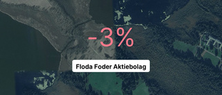 Här är siffrorna som visar hur det gick för Floda Foder Aktiebolag senaste året