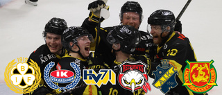 TV: Här är VH-spelarnas favoritlag • "Spelar KHK i SHL?"