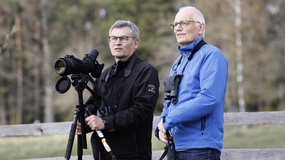 Stefan Westberg och Gunnar Ölfvingsson från Östergötlands ornitologiska förening hoppas att många vill vara med och inventera sångsvan.