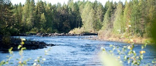 Tvisten mellan Råneåbyarna avgjord