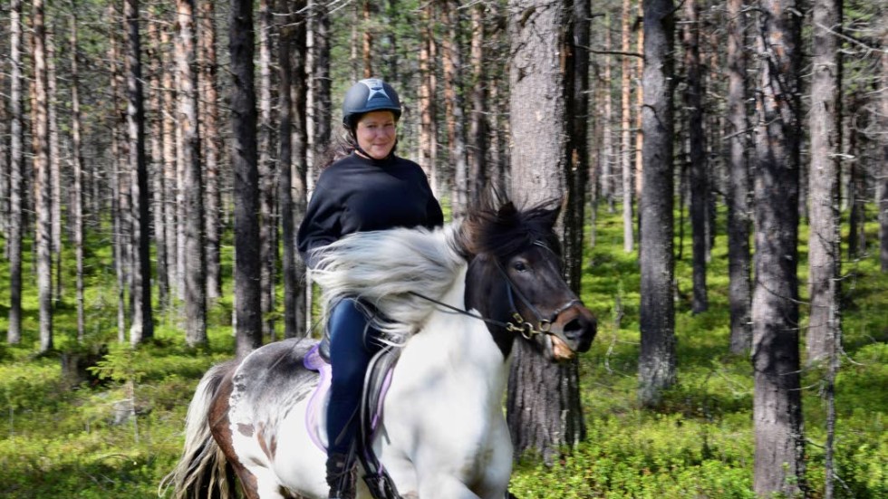 GALOPP. Islandhästar kan tränas i fem gångarter, Viktoria och hästen Järngrima har precis galopperat fram längs en skogsstig.