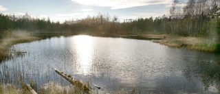 Så påverkar den gröna omställningen naturreservatet