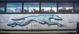 Svensken bakom Greyhound