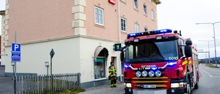 Hundar räddades undan brand