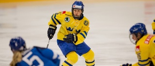 Luleå Hockey vill ha hem VM-backen: "Pratat"