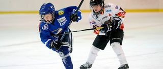 Hockeylycka – trots att tre lag blev ett