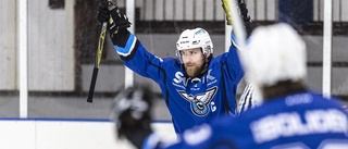 SHL-meriterade forwarden gör comeback – förstärker storfavoriten i hockeytvåan