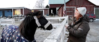 Klart för ett nytt ridhus för Stall balans