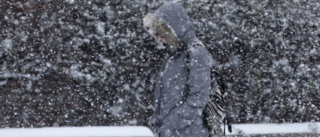 Är du redo? Nu kommer första snön – mellan fem och tio centimeter väntas i Östergötland