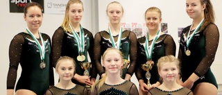 Medaljregn över Älvsbygymnasterna