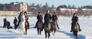 En dag i hästväg