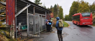 Shiitakeodlare begärs i konkurs