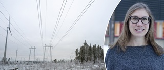 Experten: "Tiden för de billiga elpriserna är förbi"