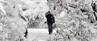 Tänk även på vi som vill promenera i vinter