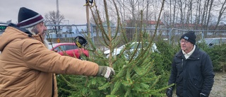 "Julgranar ett måste för många"