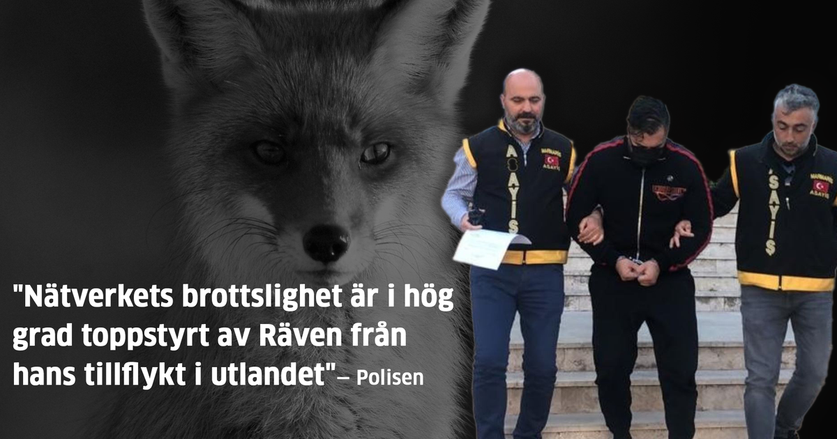 Så blev Kurdiska Räven landets mest jagade person