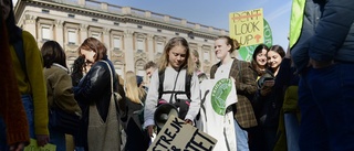 Greta-generationen var visst generation lag och ordning