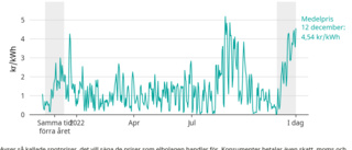 Därför kan det vara bra att låta dammsugaren stå i dag • Elpriset mot ny rekordnivå i Västervik