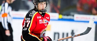 Flera SHL-klubbar jagar Luleås talang