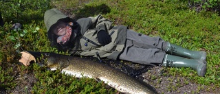 Gäddrar vilken bjässe till fisk