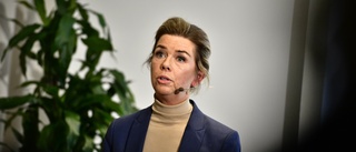 Svensk Handel: Inga tecken på ökad konsumtion