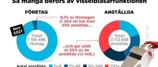 Nu måste företag införa visselblåsartjänst