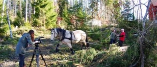 Välgjord dokumentär om livet på Sätter