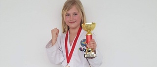 Fina framgångar för Eskilstuna Taekwon-Do