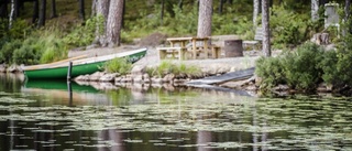 Förslag om vindkraftverk i Kolmården sågas av Nyköpings kommun