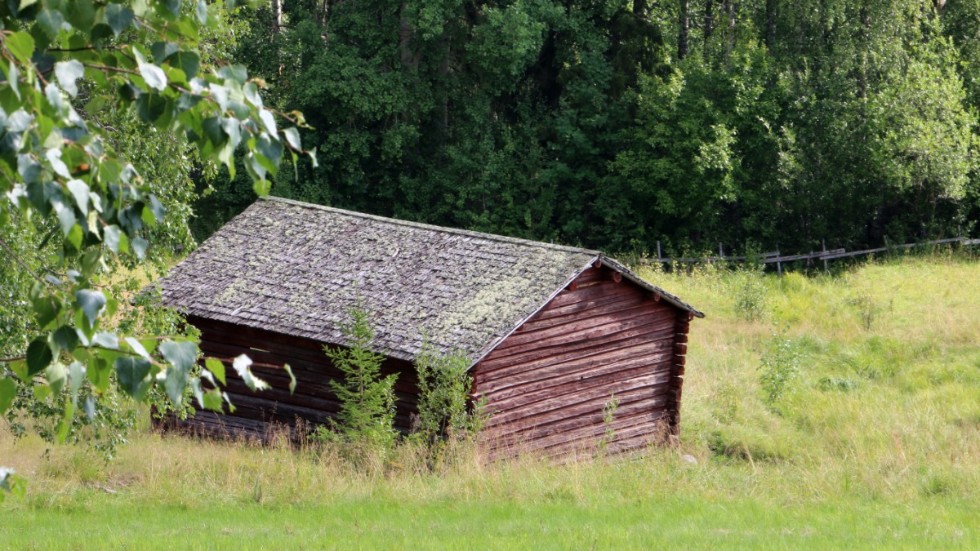 Sticktaken på ladorna har sett sina bästa dagar.