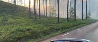 Klimatförändringarnas konsekvenser syns redan nu i vardagslivet