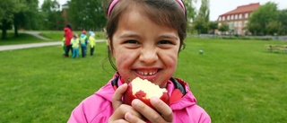 Parkfest för små miljöspanare