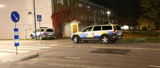 Stor polisinsats i Hageby