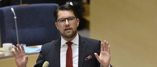 En lätt dag för Jimmie Åkesson